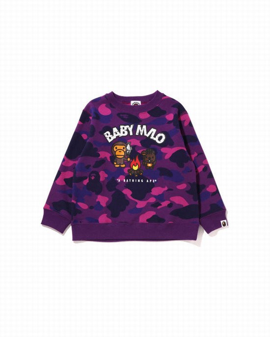 Sweats Bape Color Camo Milo Camp Crewneck Enfant Violette | PUKVZ7803